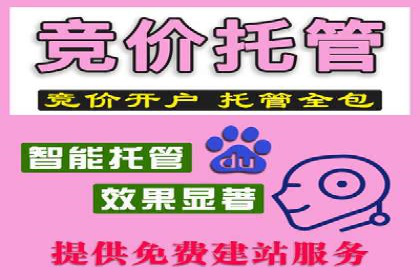 SEM代运营托管公司成功案例：提升转化率的关键策略